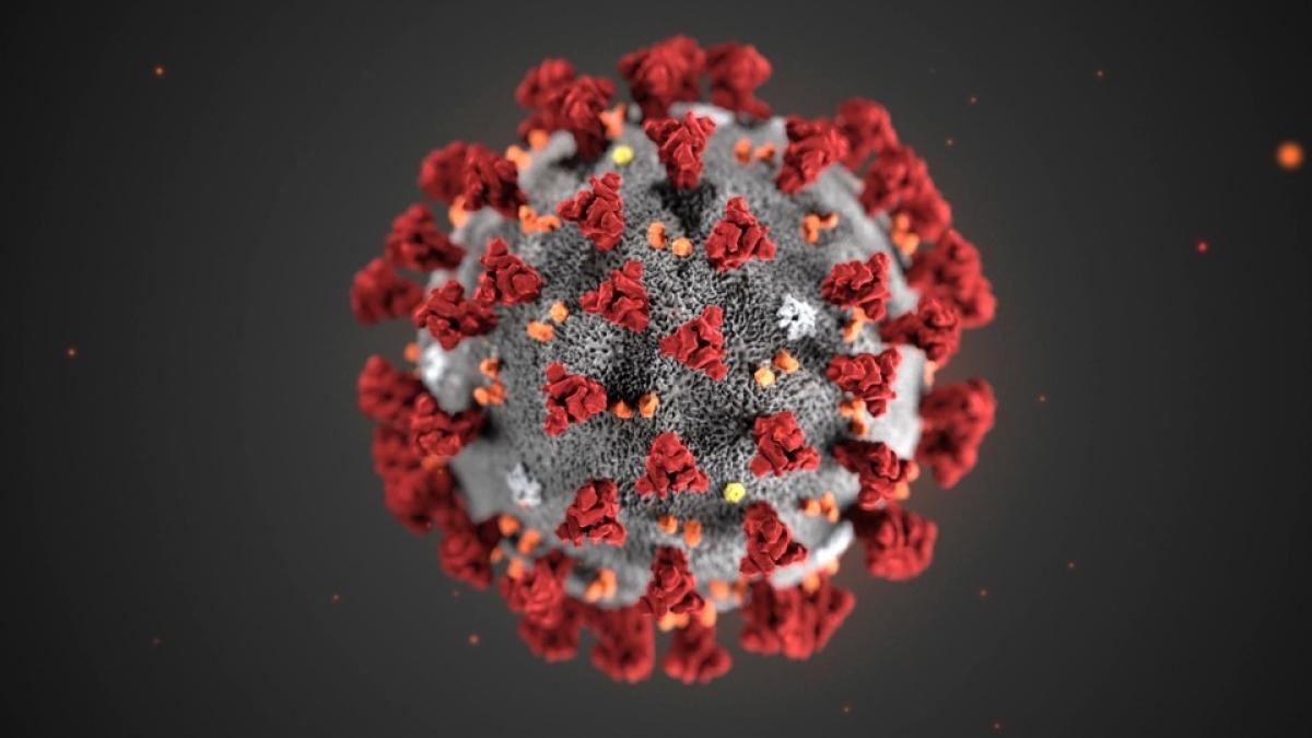 Coronavirus