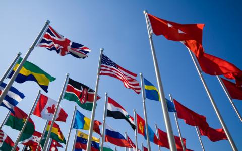 United Nations flags